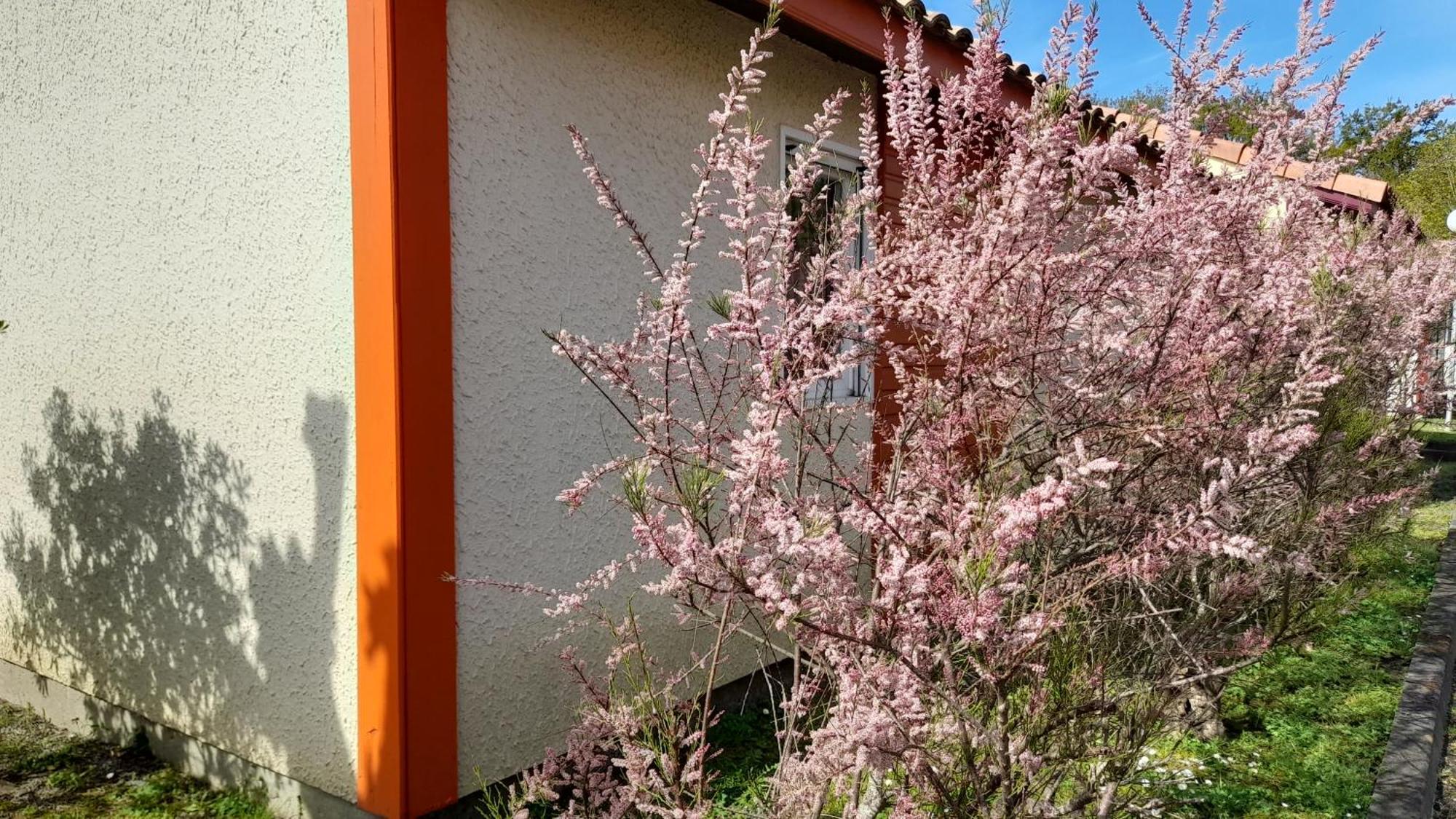 Residence Mes Amours D'Enfants - Les Villas Du Lac Soustons Exterior photo